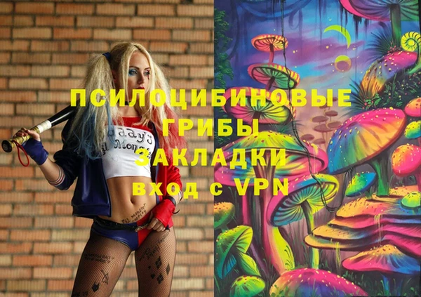 гидра Михайлов