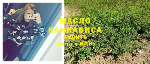 гидра Михайлов